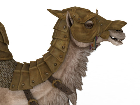 Camel Rigged and Animated Model 3D