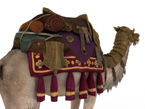 Camel Rigged and Animated Model 3D
