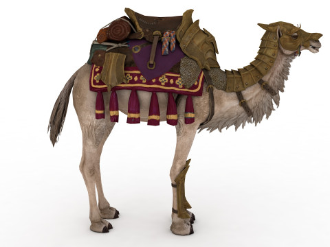 Camel Rigged and Animated Model 3D