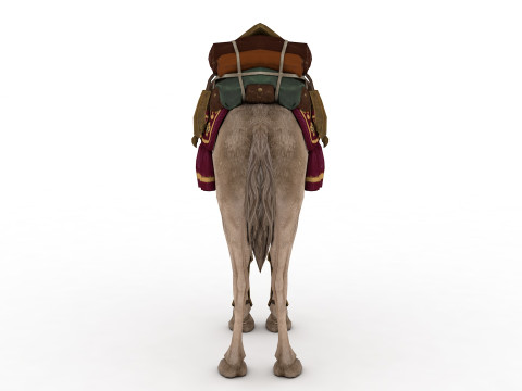 Camel Rigged and Animated Model 3D