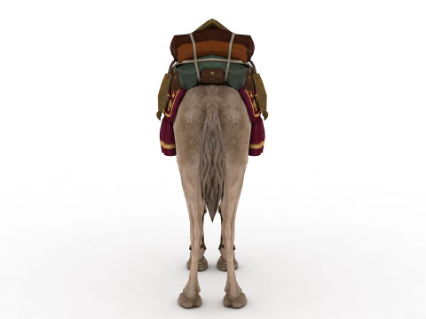 Camel Rigged and Animated 3D Model