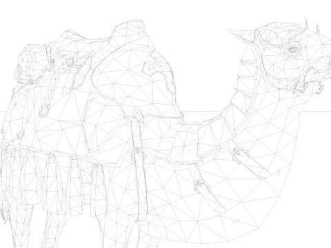 Camel Rigged and Animated 3D Model