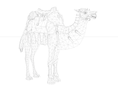 Camel Rigged and Animated 3D Model