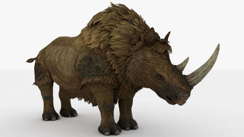 Rinoceronte Modello 3D .c4d .max .obj .3ds .fbx .stl .blend