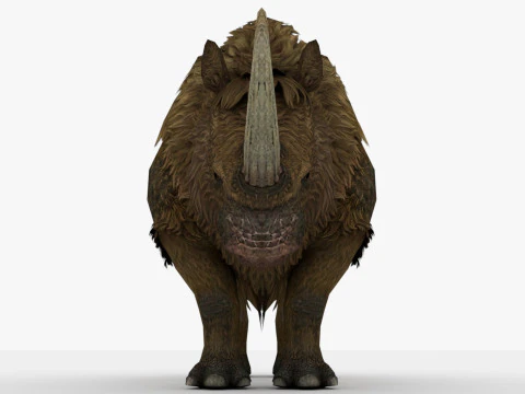 Rinoceronte Modello 3D
