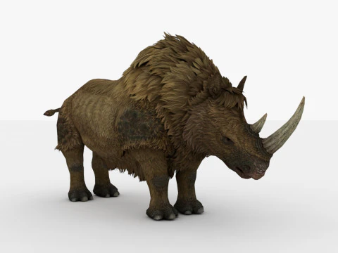 Rinoceronte Modello 3D