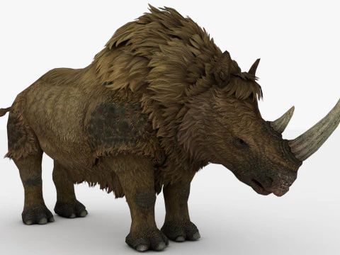 Rinoceronte Modello 3D