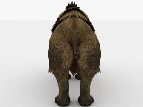 Rinoceronte Modello 3D