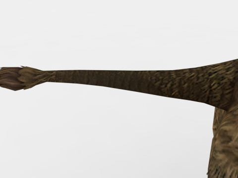 Rhino 3Dモデル