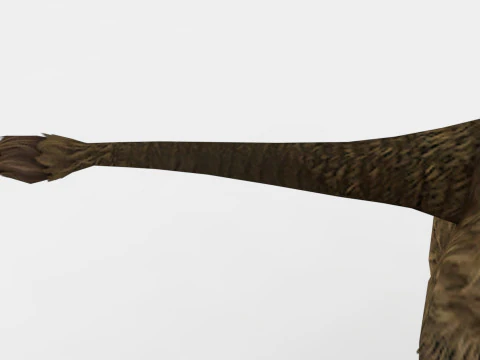 Rinoceronte Modello 3D