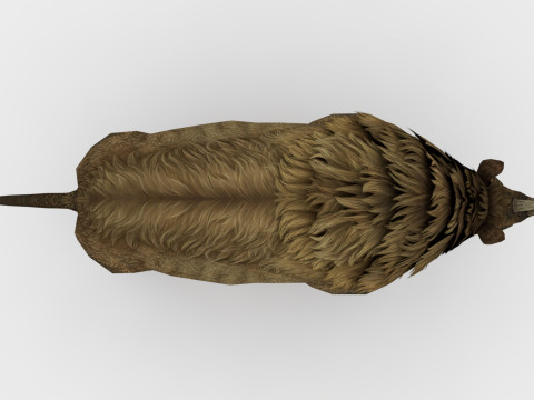 Rhino 3Dモデル