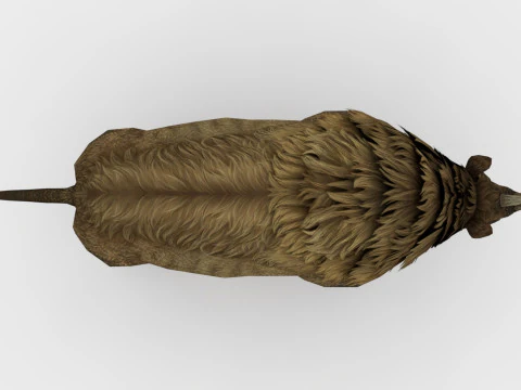 Rinoceronte Modello 3D