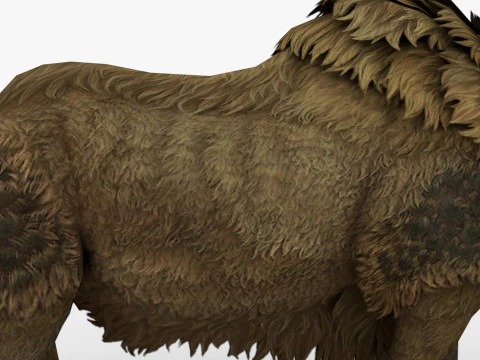 Rinoceronte Modello 3D