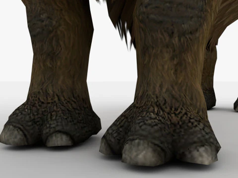 Rinoceronte Modello 3D