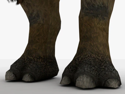 Rinoceronte Modello 3D