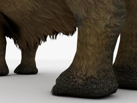 Rinoceronte Modello 3D