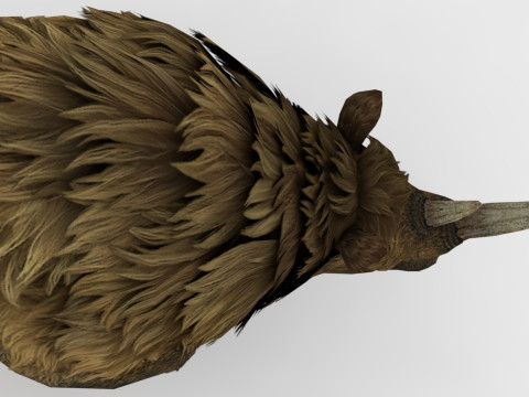 Rhino 3Dモデル