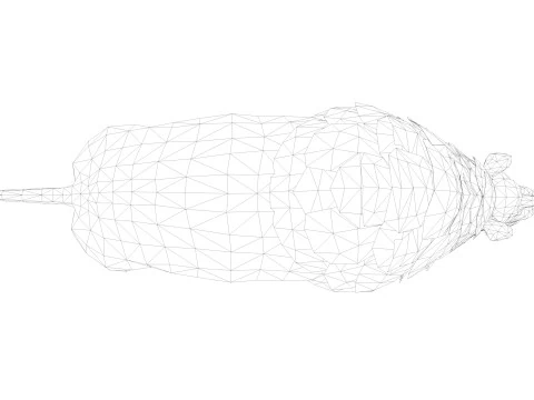 Rinoceronte Modello 3D