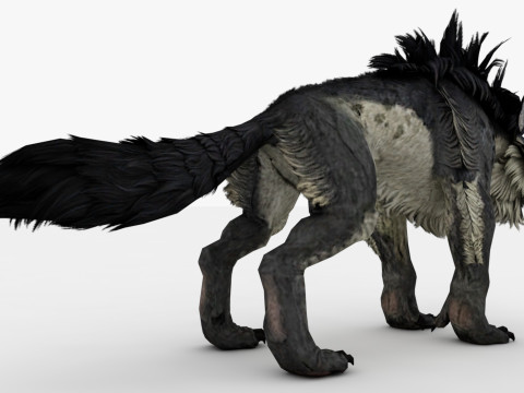 Hyena Model 3D