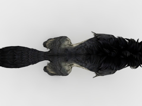 Hyena Model 3D