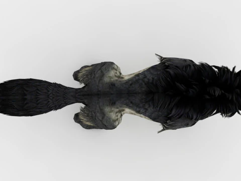 Hyena 3D Model