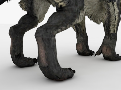 Hyena Model 3D