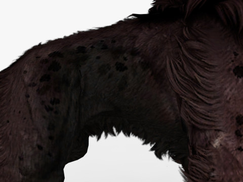 Hyena Model 3D