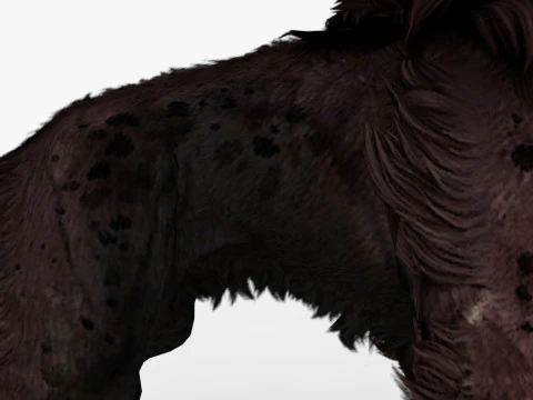 Hyena 3D Model