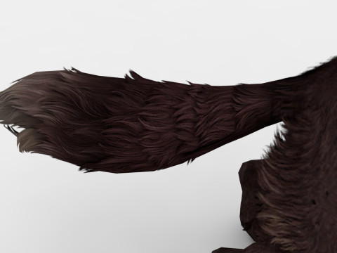 Hyena Model 3D
