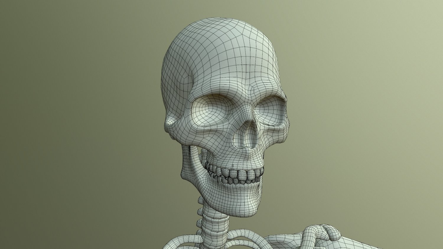 Ткань скелета человека. Скелет 3д. Skalet 3 d. Скелет человека 3д модель. Скелет 3d модель.
