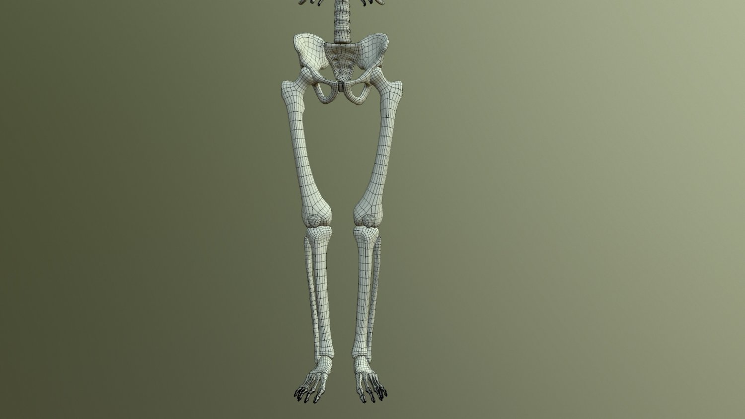 Skeleton 3 80РјРј