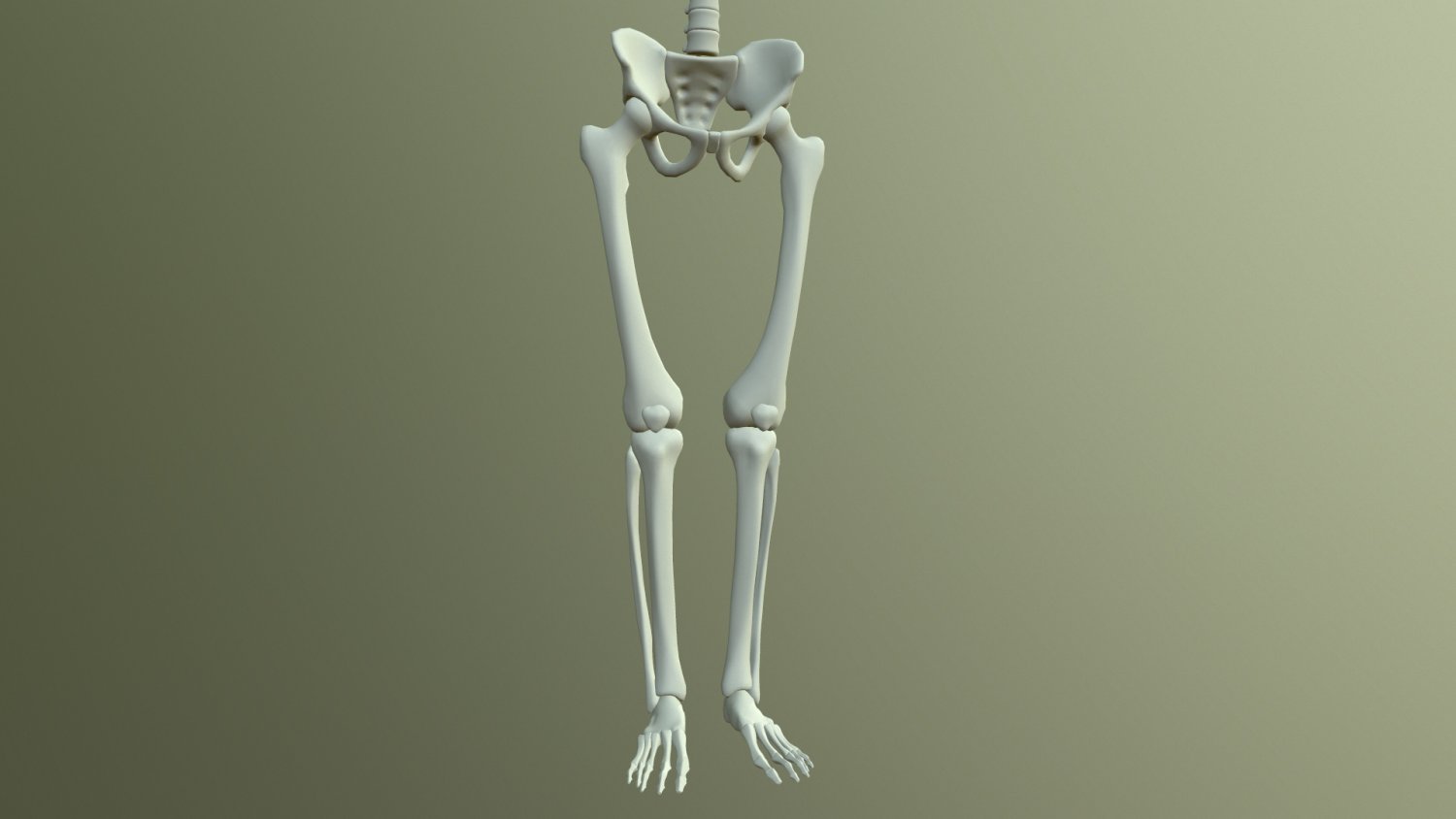 Skeleton 3 80РјРј