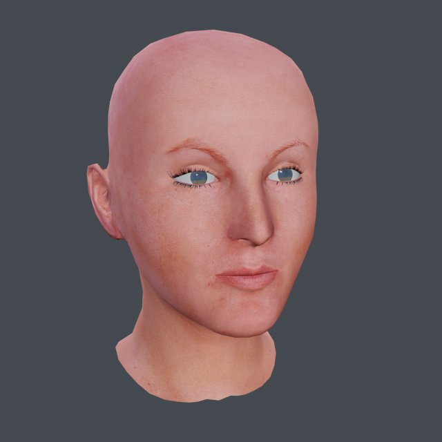 female head textured Model 3D .c4d .max .obj .3ds .fbx .stl .blend 