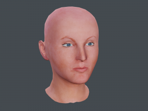 female head textured Model 3D