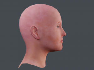 female head textured Model 3D
