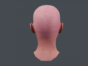 female head textured Model 3D