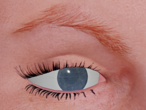female head textured Model 3D