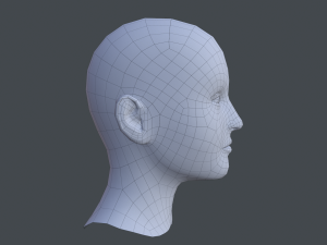 female head textured Model 3D