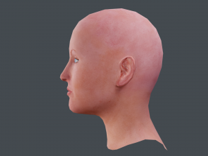 female head textured Model 3D
