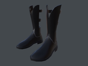 female boots 3D Model