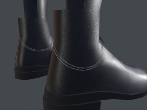 female boots 3D Model