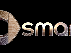 smart logo 3Dモデル