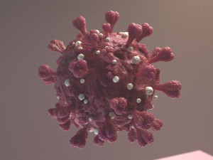 Coronavirus SARS COVID-19 3D Модель