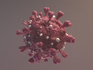 Coronavirus SARS COVID-19 3D Model