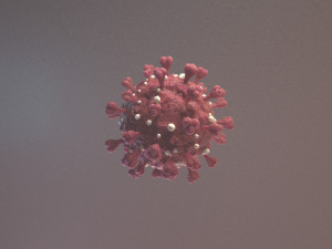 Coronavirus SARS COVID-19 3D Model