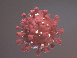Coronavirus SARS COVID-19 3D Model