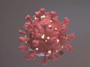 Coronavirus SARS COVID-19 3D Model