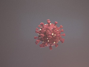 Coronavirus SARS COVID-19 3D Model