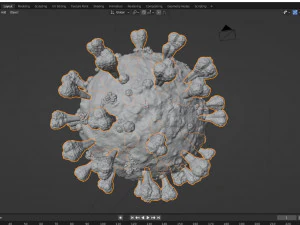 Coronavirus SARS COVID-19 3D Model