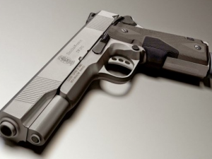 45 acp 3D Model